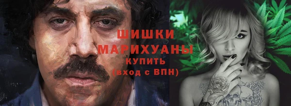 индика Бугульма