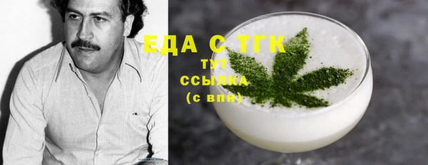 индика Бугульма