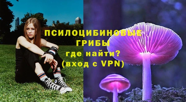индика Бугульма