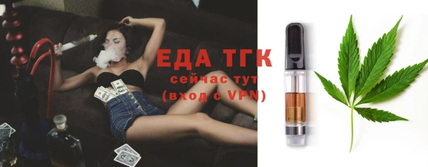 индика Бугульма