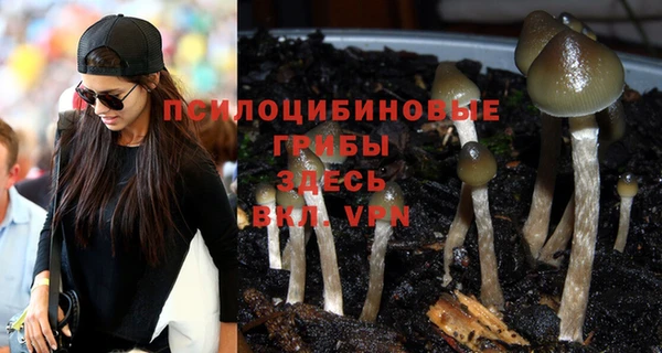 мескалин Бронницы