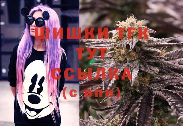 индика Бугульма