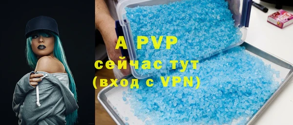 индика Бугульма