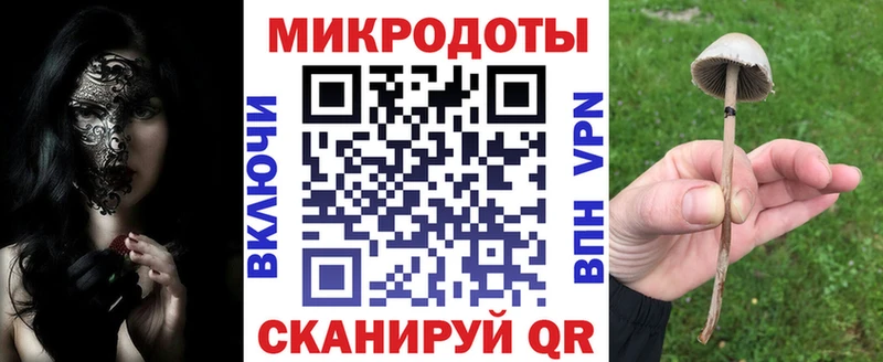 Галлюциногенные грибы Psilocybe  где продают   Ессентукская 