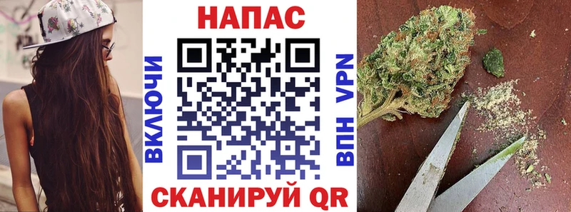 darknet Telegram Ессентукская Каннабис марихуана